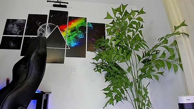 Zoe_Bae naked stripping on cam for live sex video chat