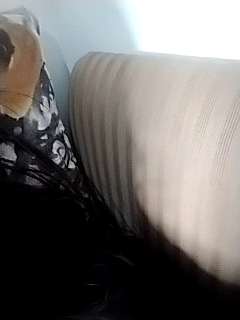 lolokety naked stripping on cam for live sex video chat