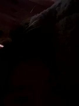 SNAKEgirl0 naked stripping on cam for live sex video chat