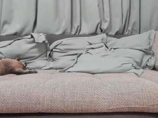 bestboobs nude in Live Sex Cam Girls Room