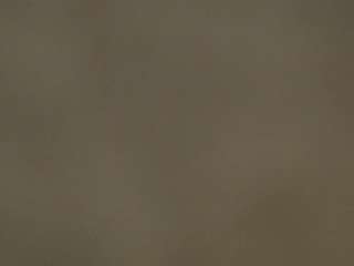 ebonynile nude in Live Sex Cam Girls Room