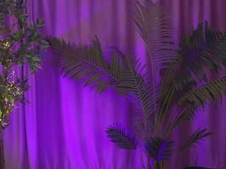 LaraAnne nude in Live Sex Cam Girls Room