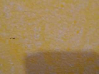 yummy-nessa nude in Live Sex Cam Girls Room