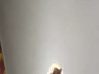 shysluuut19952023 nude in Live Sex Cam Girls Room
