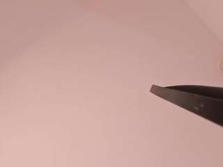Emilie-Stone nude in Live Sex Cam Girls Room